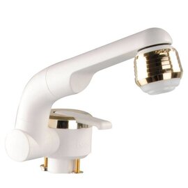Barwig Mengkraan perfect wit/goud slang aansluiting