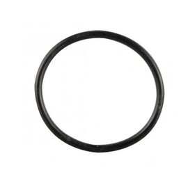 Truma O-ring Verwarmingselement 230V