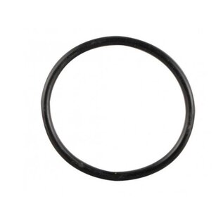 Truma  O-ring Verwarmingselement 230V