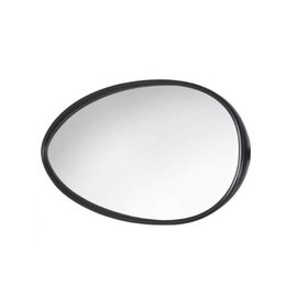 Reich Reich Speedfix Spiegelkop Vlak Glas