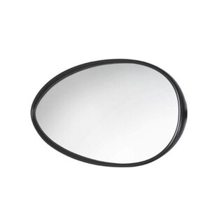 Reich Reich Speedfix Spiegelkop Vlak Glas