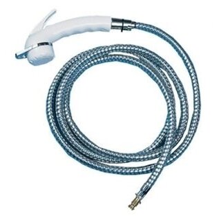 Reich Reich regelbare douchekop met 2 m slang