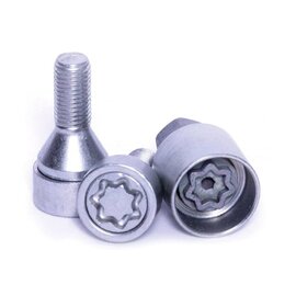 fullstop security Guardian carriage bolts