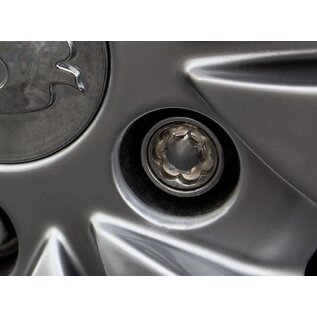 fullstop security Guardian carriage bolts