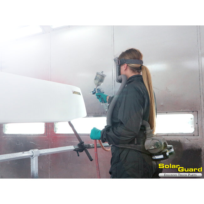 Verf Service Metallic Kleur