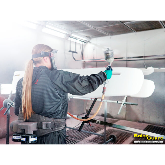 Servicio de pintura Color metalizado