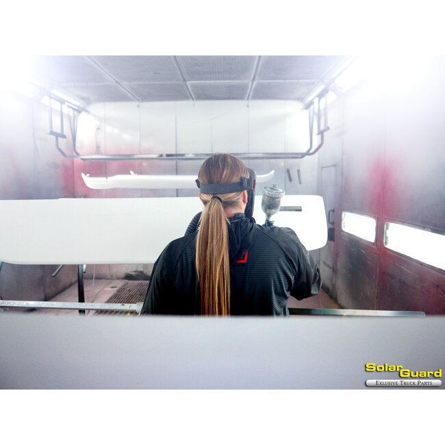 Lackservice Metallicfarbe