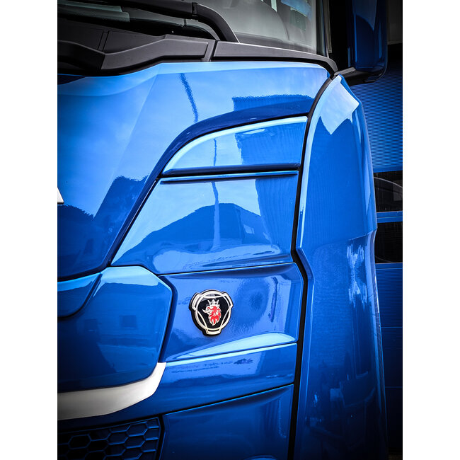 Grille de protection des feux de route