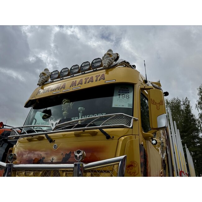 Mercedes-Benz Actros MP5 Sunvisor Type 2