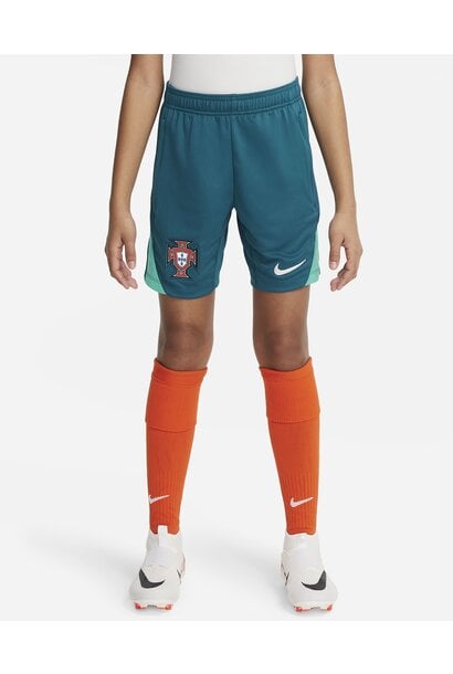 Nike Short Training Portugal 2024 Groen Kinderen