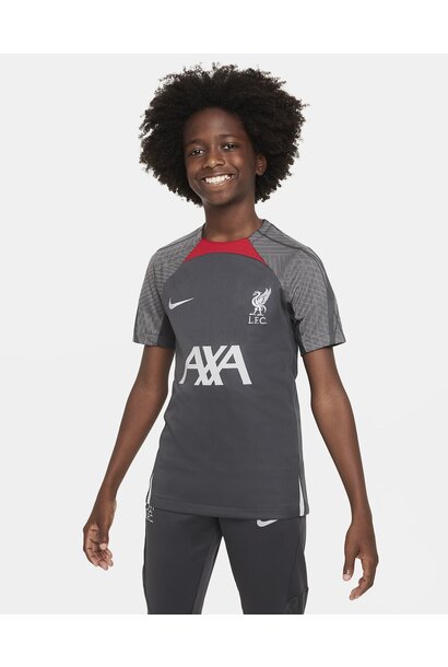 Nike Shirt Training Liverpool 2023/24 Grijs Kinderen