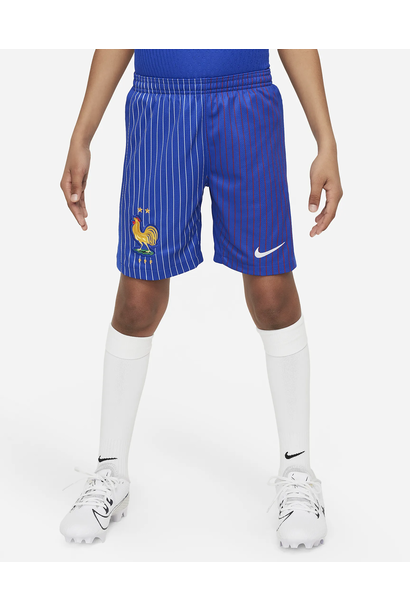 Nike Short Frankrijk Uit 2024 Blauw Kinderen