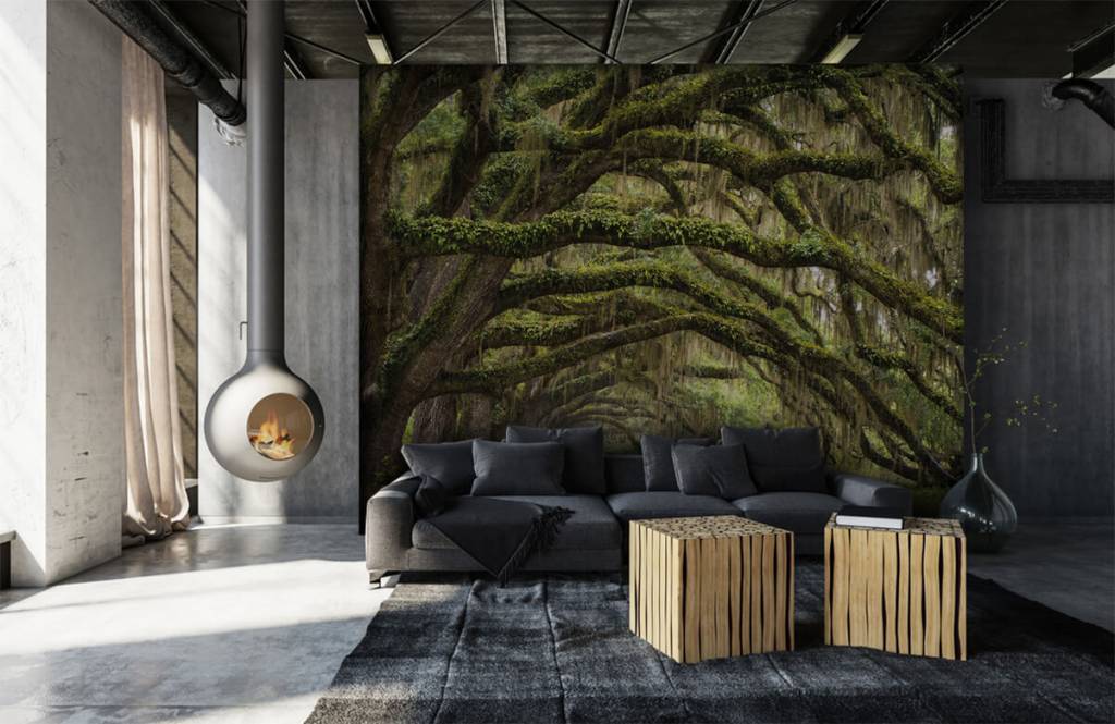 Eikenbomen huismerk kopen in de aanbieding