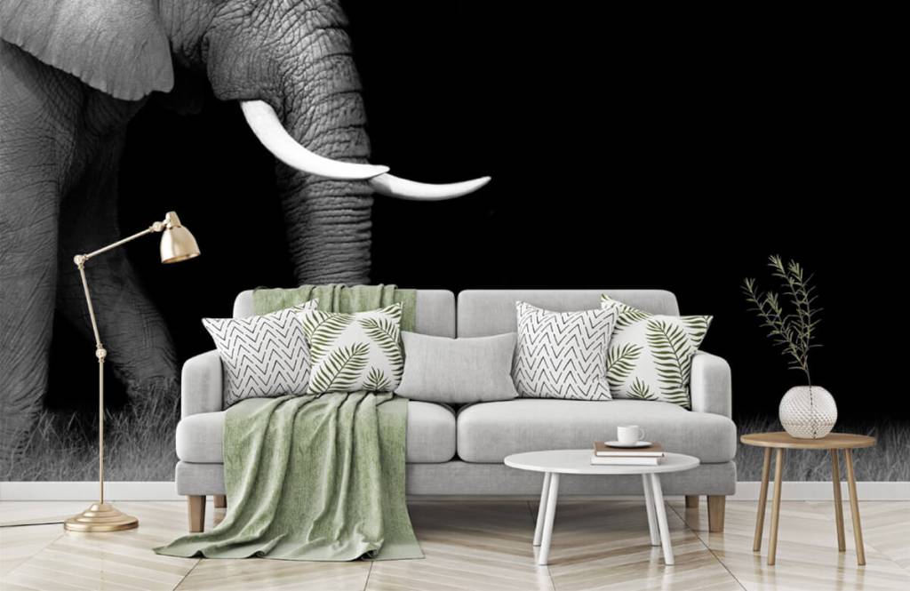 Olifant Op Gras huismerk kopen in de aanbieding Olifant Op Gras huismerk kopen in de aanbieding