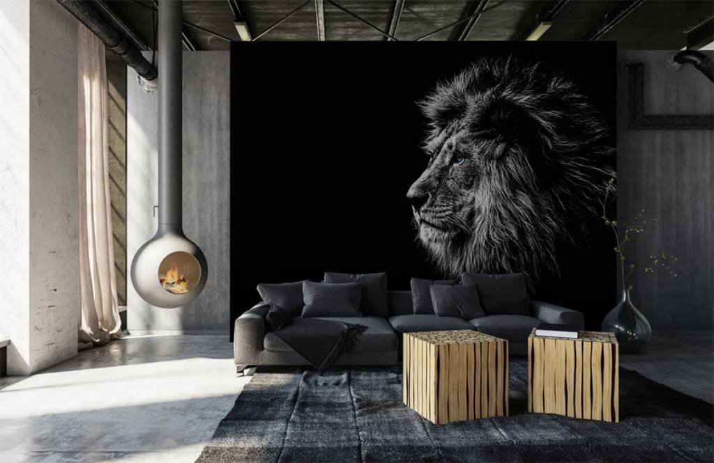 Leeuw Met Blauwe Ogen huismerk kopen in de aanbieding