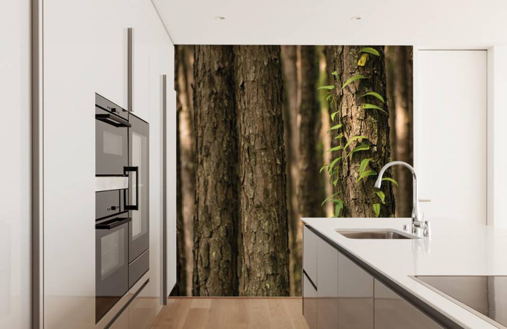 Stammen huismerk kopen in de aanbieding