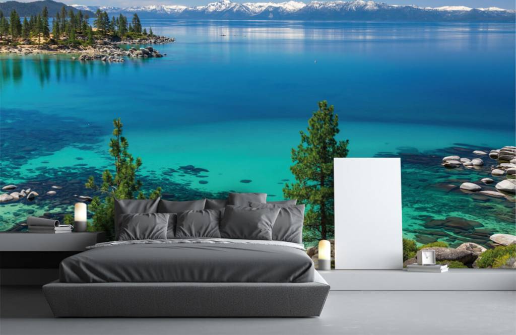 Helder huismerk kopen in de aanbieding