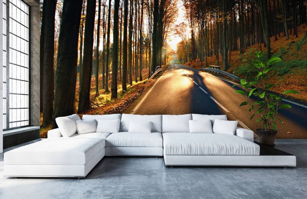 Verlaten Bos Weg huismerk kopen in de aanbieding