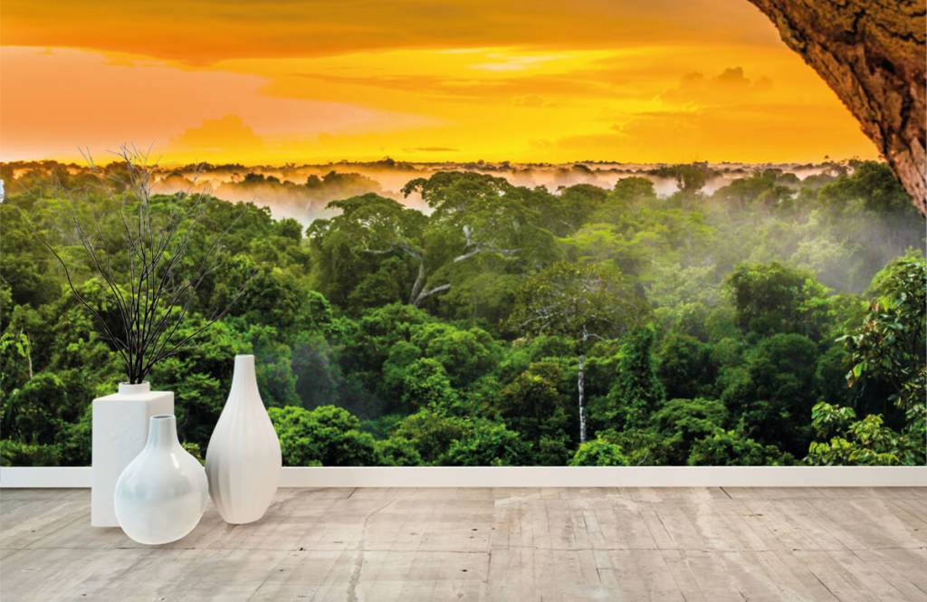 Regenwoud Brazilie huismerk kopen in de aanbieding