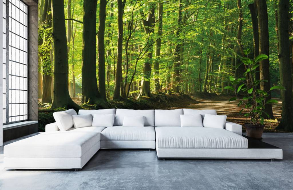 Bosweg huismerk kopen in de aanbieding