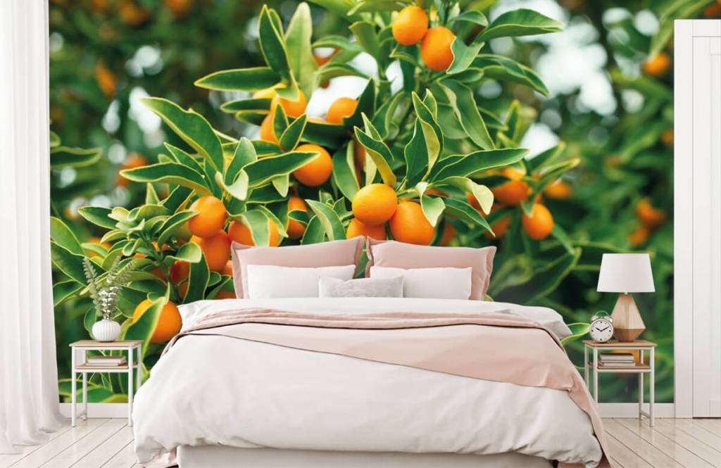 Fruitboom huismerk kopen in de aanbieding