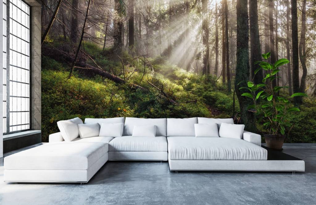 Herfst Bos huismerk kopen in de aanbieding