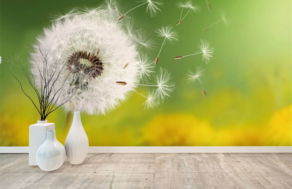 Paardenbloem Op Fotobehang huismerk kopen in de aanbieding