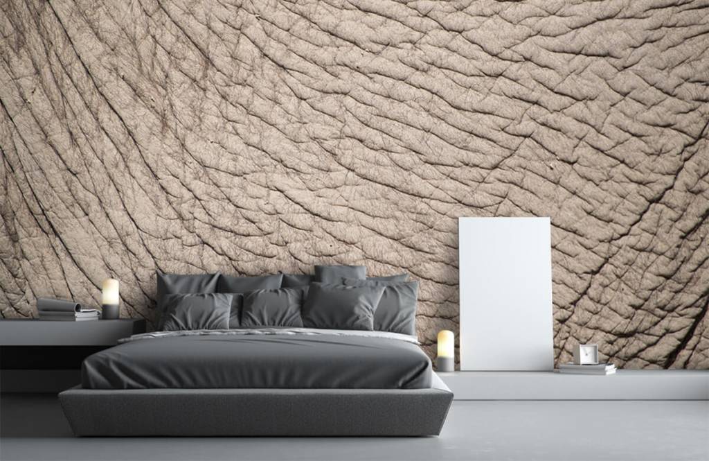 Olifantenhuid Op Fotobehang huismerk kopen in de aanbieding