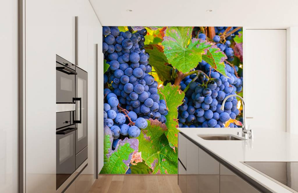 Druiven Op Fotobehang huismerk kopen in de aanbieding