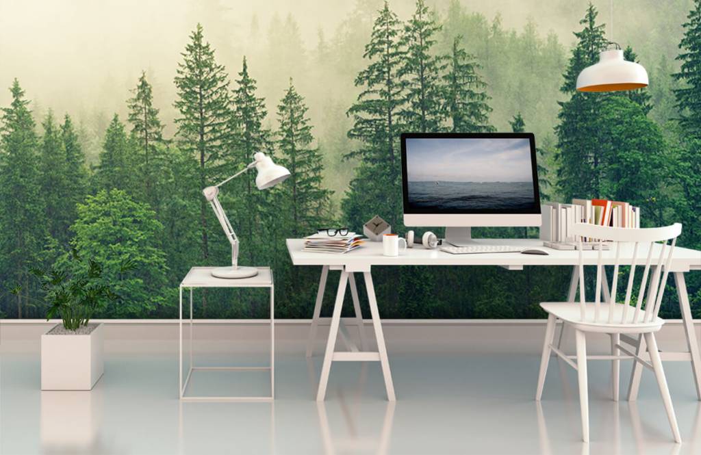 Dennenbomen In De Mist huismerk kopen in de aanbieding