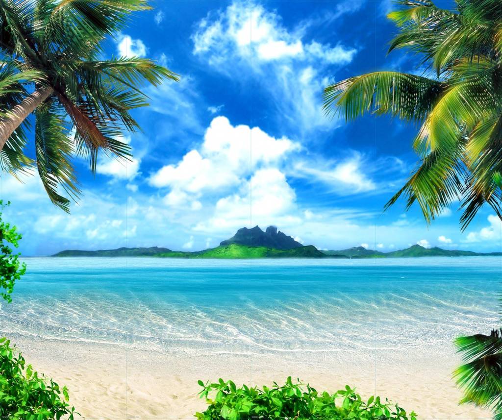 Eiland Outlet 265X215 huismerk kopen in de aanbieding