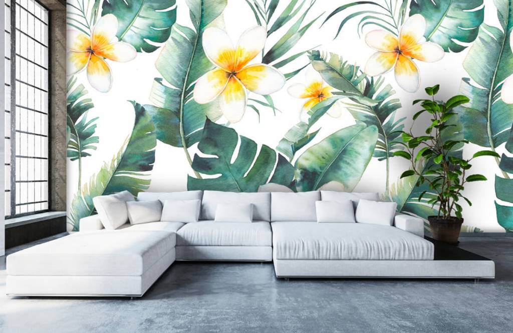 Plumeria Bloemen huismerk kopen in de aanbieding