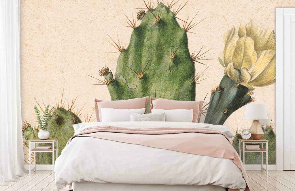 Bloeiende Vijgcactus huismerk kopen in de aanbieding Bloeiende Vijgcactus huismerk kopen in de aanbieding