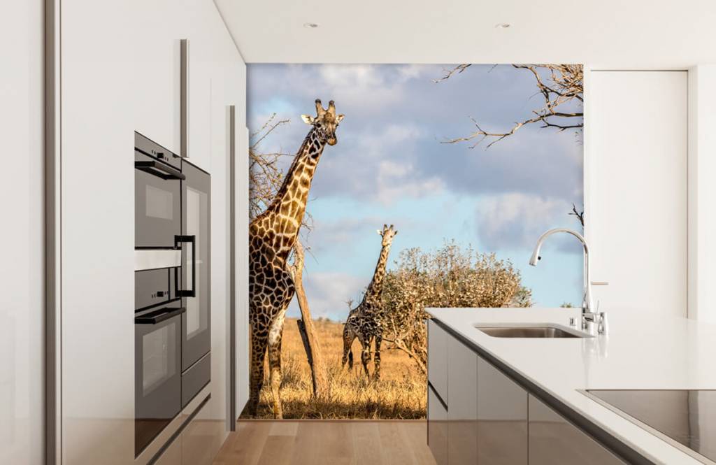 Jeroen Ten Haaf Giraffe jeroen ten haaf kopen in de aanbieding