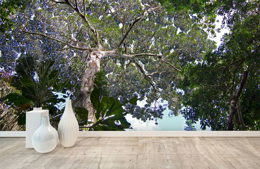 Jeroen Ten Haaf Woudreus jeroen ten haaf kopen in de aanbieding