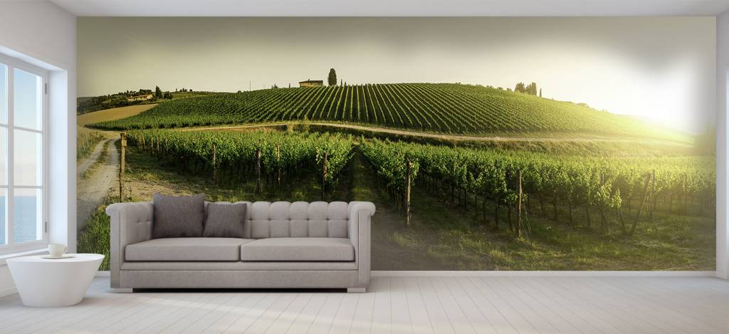 Toscaanse Wijngaard huismerk kopen in de aanbieding