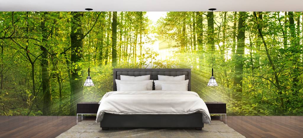 Zonnestralen In Een Groen Bos huismerk kopen in de aanbieding Zonnestralen In Een Groen Bos huismerk kopen in de aanbieding