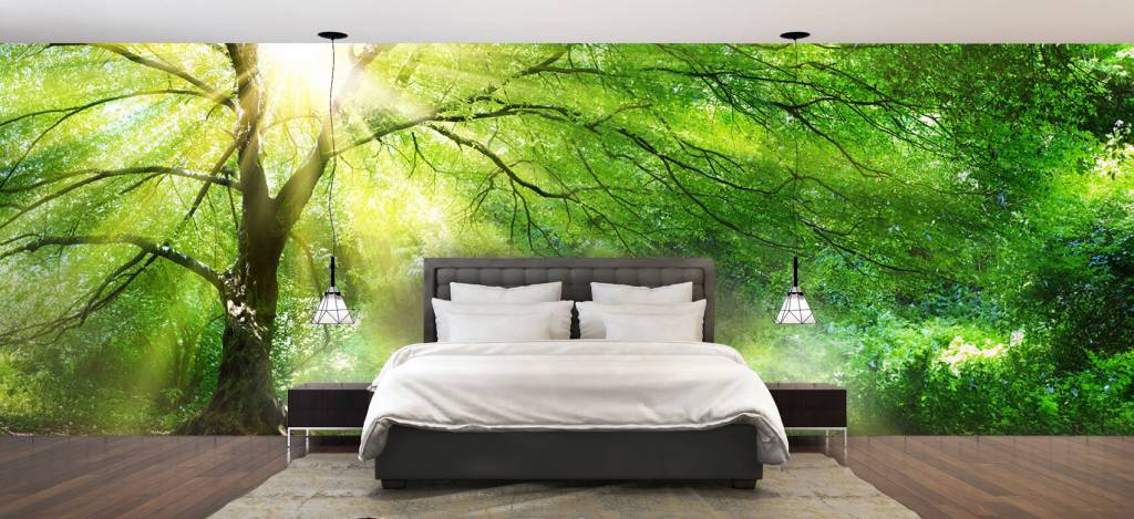 Grote Boom Met Zon huismerk kopen in de aanbieding Grote Boom Met Zon huismerk kopen in de aanbieding