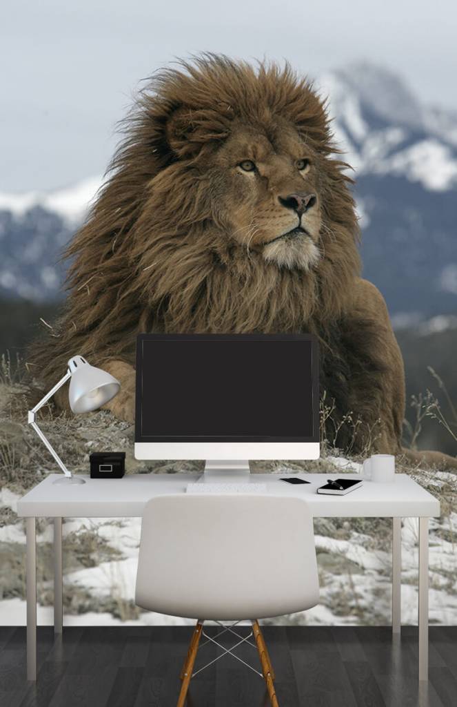 Barbarijse Leeuw huismerk kopen in de aanbieding Barbarijse Leeuw huismerk kopen in de aanbieding