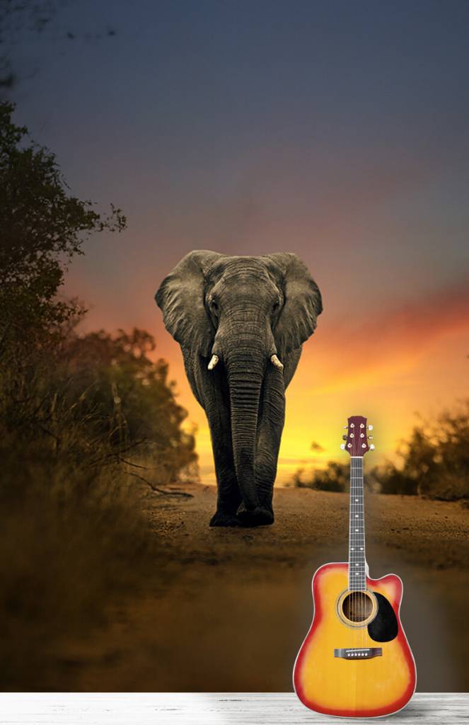 Olifant Met Zonsondergang huismerk kopen in de aanbieding Olifant Met Zonsondergang huismerk kopen in de aanbieding