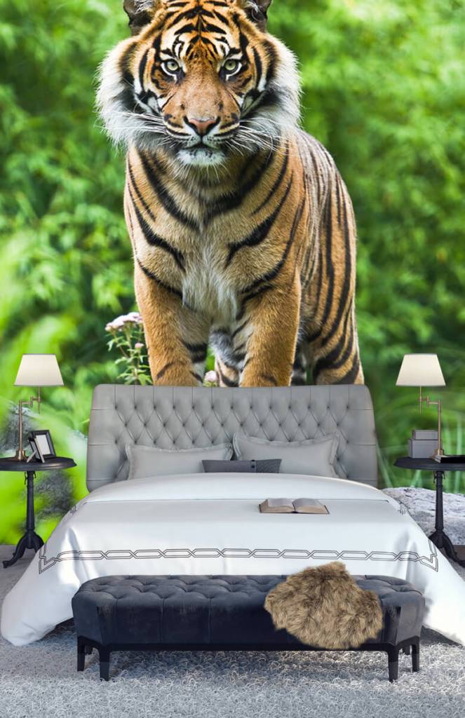 Tijger Op Een huismerk kopen in de aanbieding