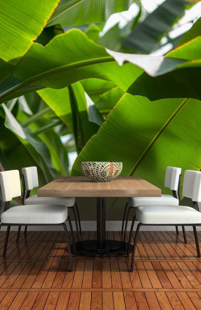Palmbladeren huismerk kopen in de aanbieding Palmbladeren huismerk kopen in de aanbieding