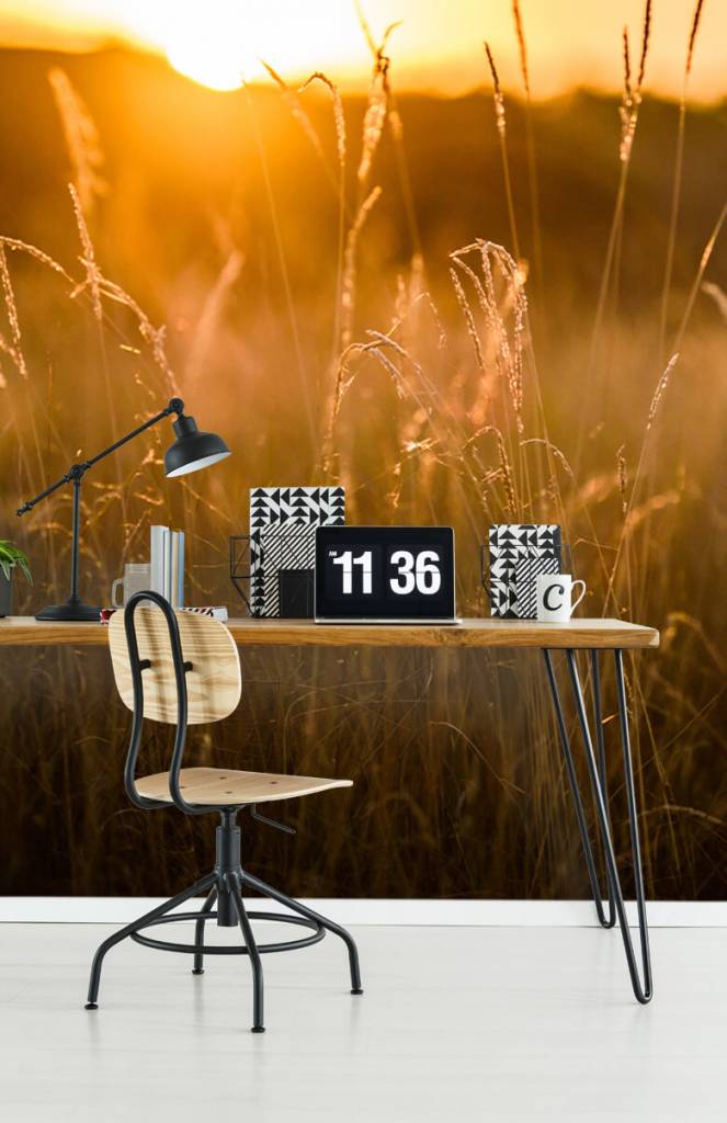 Zonsondergang Tussen Het Graan huismerk kopen in de aanbieding