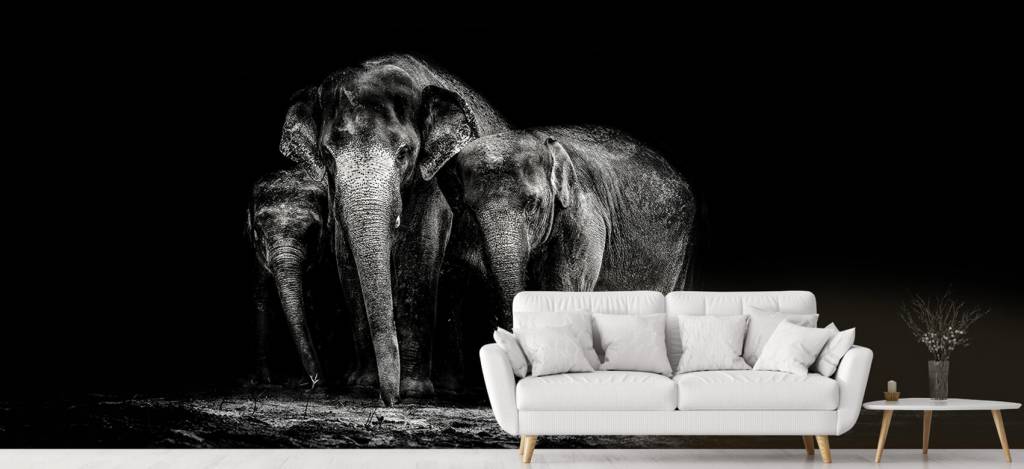 Zwart Wit Foto Van Olifanten huismerk kopen in de aanbieding