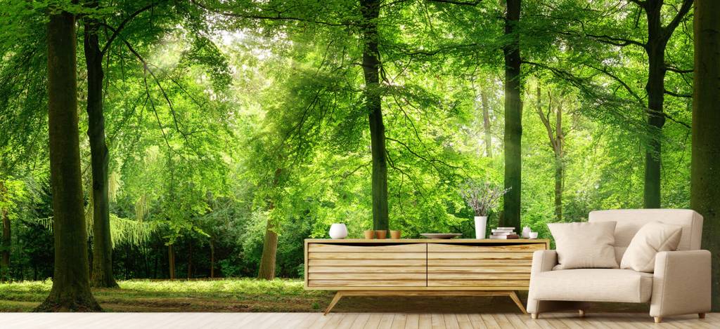 Bos Met Lichte Nevel huismerk kopen in de aanbieding