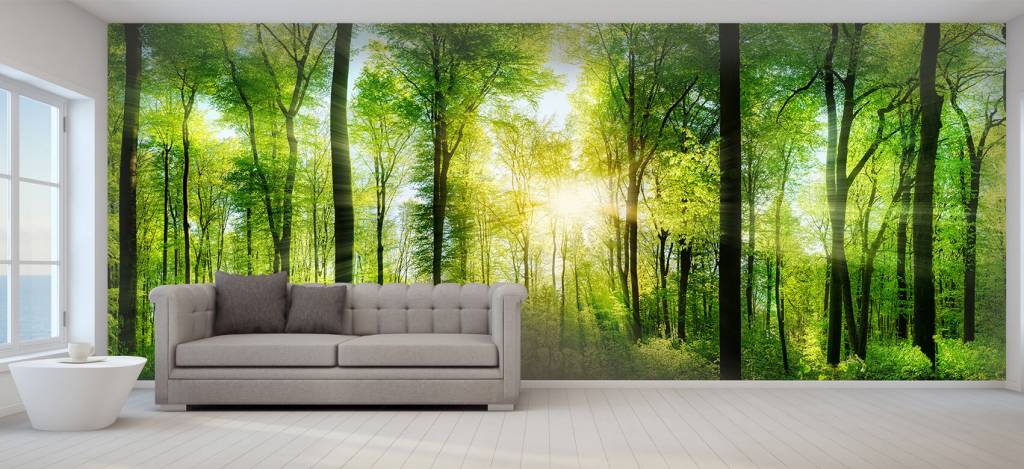 Boslandschap Met Zonnestralen huismerk kopen in de aanbieding Boslandschap Met Zonnestralen huismerk kopen in de aanbieding