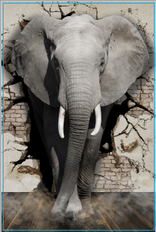 3D Olifant Uit De Muur Op Fotobehang Outlet 90 X 140 huismerk kopen in de aanbieding