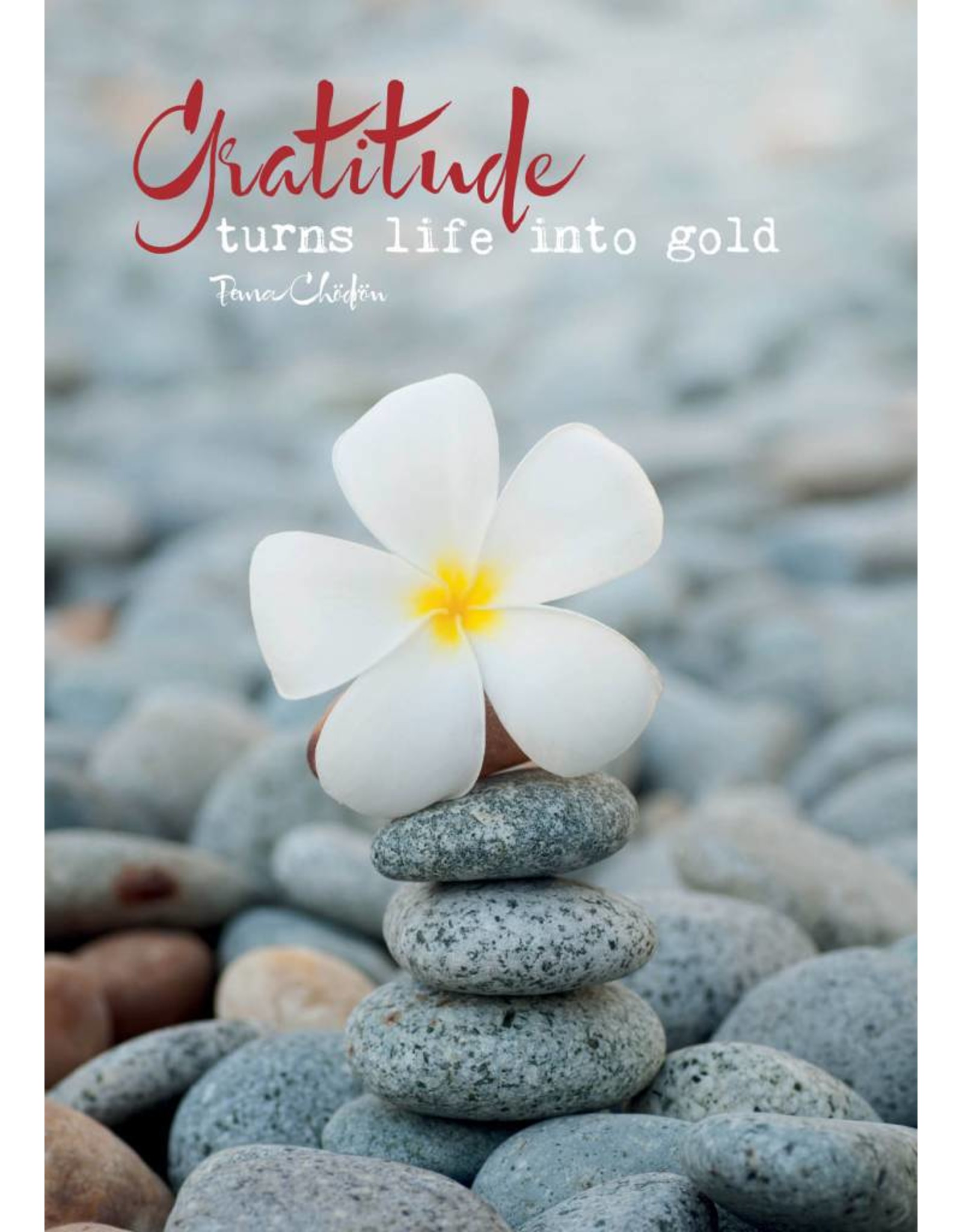 Zintenz Gratitude turns life into gold briefkaart