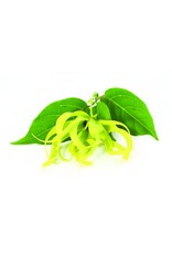 De Groene Linde Ylang Ylang etherische olie 10 ml