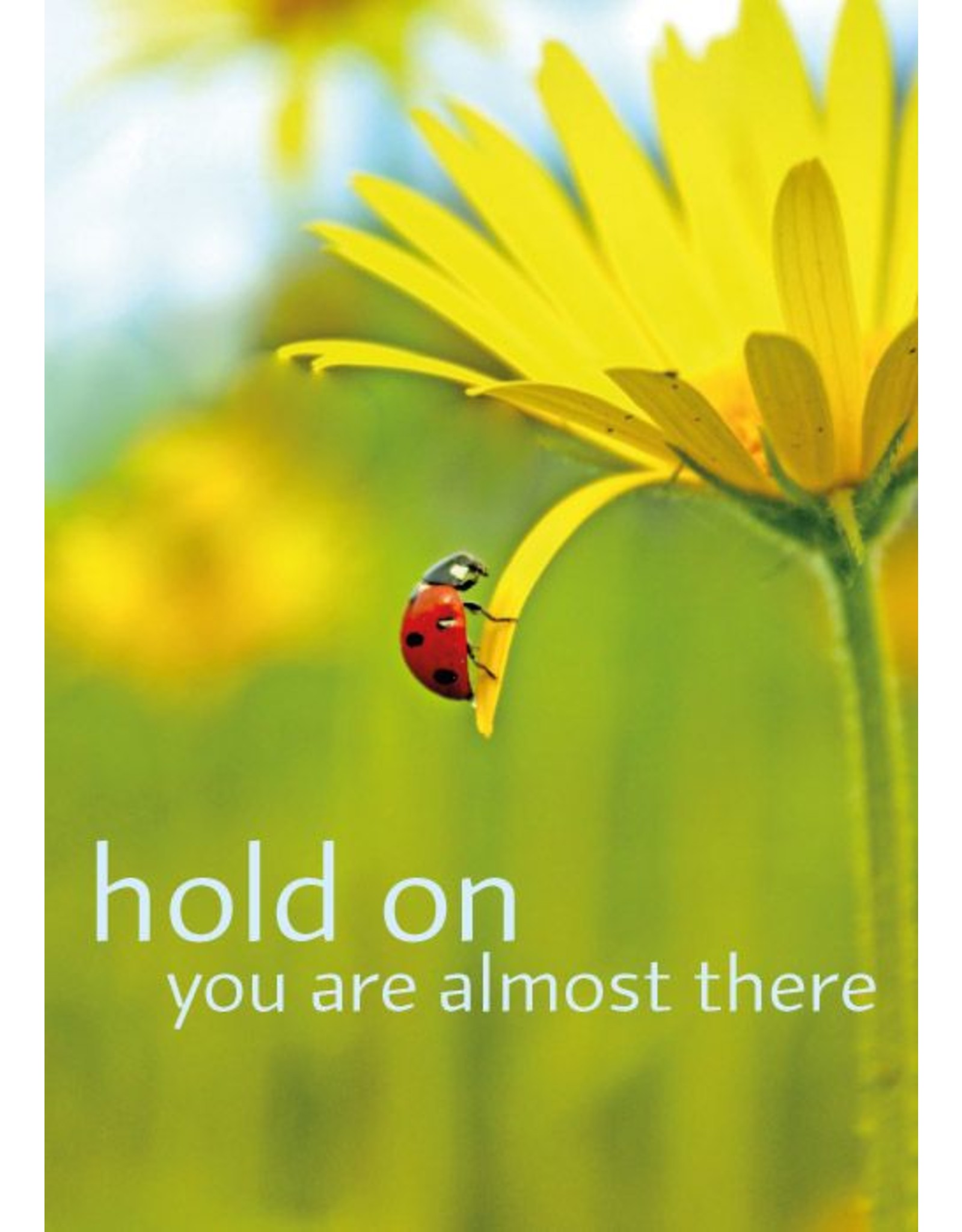 Zintenz Hold on you are almost there briefkaart